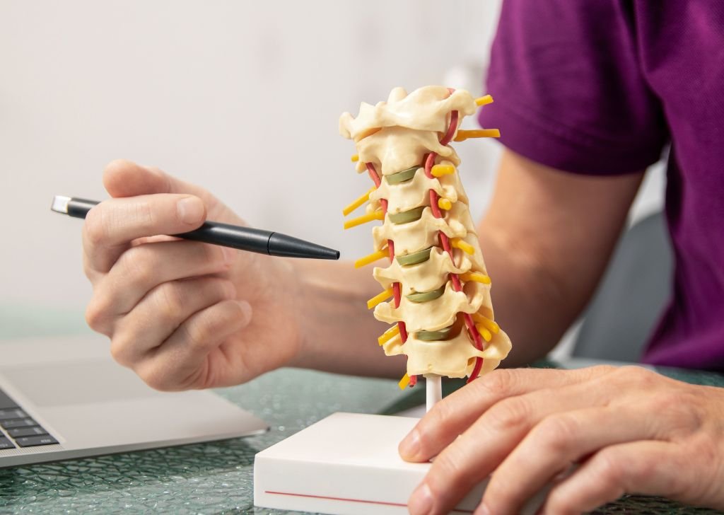 A chiropractor using a spine model to explain the activator method treatment.