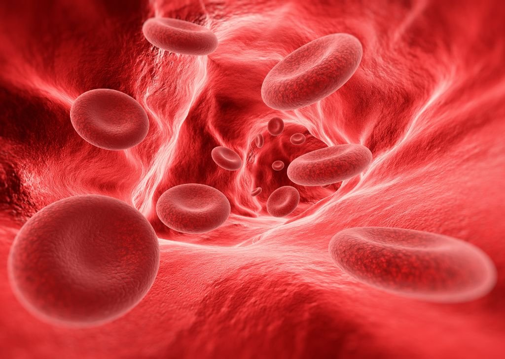 Percussive therapy helps with blood circulation in the body.